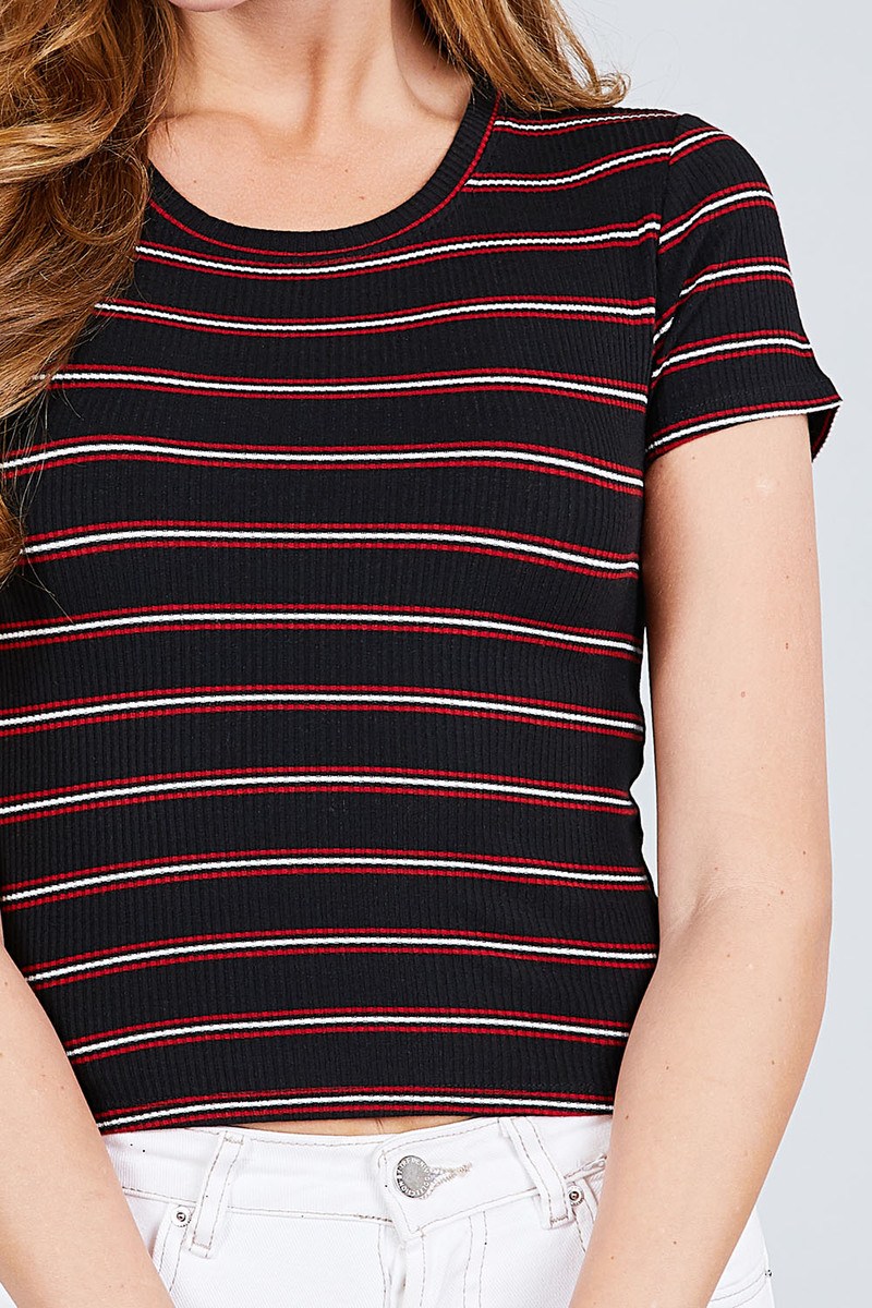 Short Sleeve Round Neck Multi Stripe Rib Knit Top